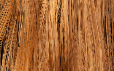 Naklejka premium Wave hair with golden color, 3d rendering.