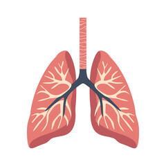 A detailed cartoon illustration of human lungs, showing the branching bronchial system. The lungs are pink with realistic anatomy, representing the respiratory system.