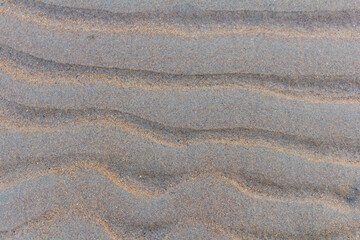 sand texture background. a beautiful pattern left on the sandy beach after low tide