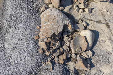 the structure of the bottom is a shallow mountain river, an old man and nature walks, a sunny day