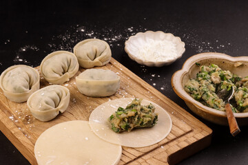 Process of Making Homemade Mandu or Korean Dumplings.