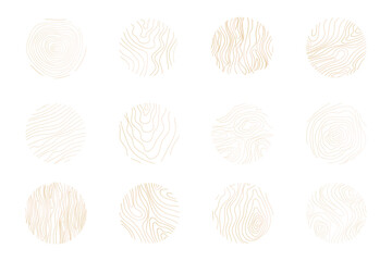Golden thin line tree ring collection. Elegant gold wooden section texture circle. Topography map geographic grid contour. Wood stump timber.