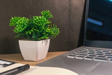 View of a office desk with flower plant in a pot, laptop, note book, and pen