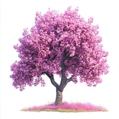 Obraz premium A cherry blossom tree in full bloom with dense pink flowers and dark branches, standing on a patch of bright pink grass, isolated.