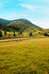 Fototapeta premium Romania Transalpina road with many serpentines crossing forest in Carpathian mountains. Mountains forest trees with road in Parang mountains