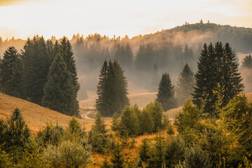 Plain with fog and trees on the meadow. Summer landscape from Poiana Brasov, ski resort, Romania
