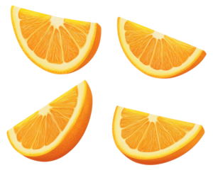 Four slices of orange arranged visually appealing for food representation.