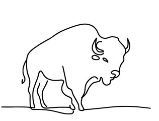silhouette of bull