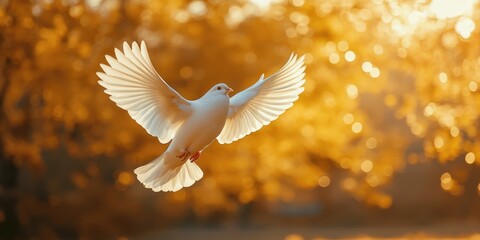 White Dove Soaring in a Golden Sky