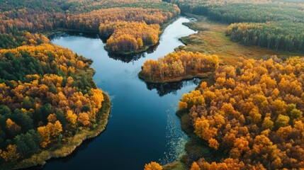 Autumn River in Forest