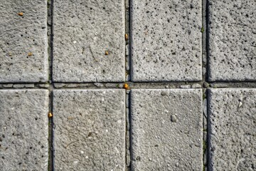 Obraz premium Gray stone pavement with rough texture and detailed blocks