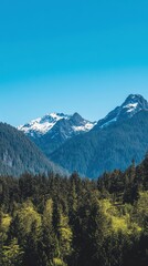 Obraz premium Snowy peaks rise above a vibrant green forest, highlighting nature's beauty on a clear day