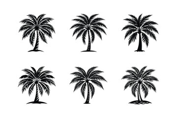 Silhouette Black Palm Tree Set. Vector Illustrations Isolated on White Background