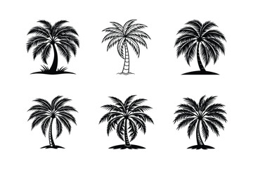 Palm or coconut trees vector illustration set on white background. Palm trees icon silhouette.