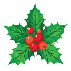 christmas holly with red berries and green leaves  illustrator