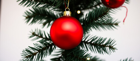 Red Christmas Ornament on a Pine Branch