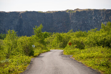 The Asbyrgi Canyon in north Iceland
