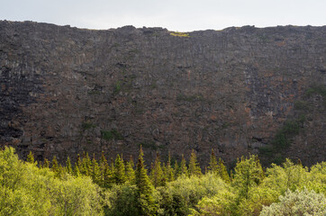 The Asbyrgi Canyon in north Iceland