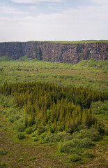 Obraz premium The Asbyrgi Canyon in north Iceland