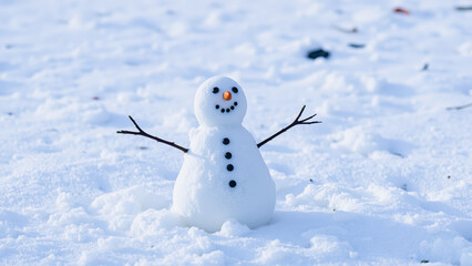 Happy Snowman In The Snow