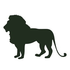 Lion Animal Silhouette