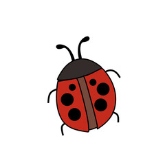 ladybug vector illustration