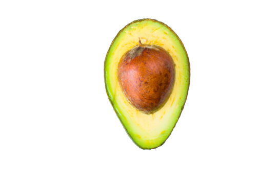 Half avocado on the white background, space for text