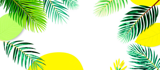 Fototapeta premium Tropical Palm Leaves Border with Yellow Background