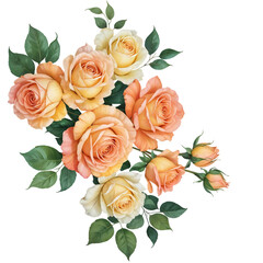 Naklejka premium bouquet of roses transparent background