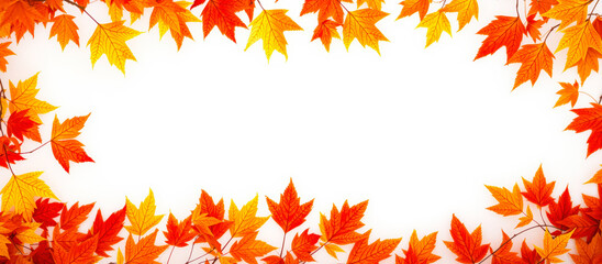 Fototapeta premium Autumn leaves frame with white background
