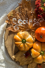autumn still life with pumpkins