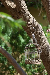 lantern hanging on a tree in the garden