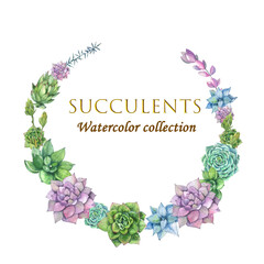 Succulents Collection. Watercolor Illustration. Green, Lilac, Blue Flowers. Frame Wreath. Design Element for Postcards, Invitations, Posters, Packaging, Blogs, Websites