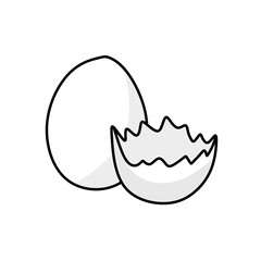 broken egg vector illustration