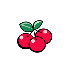 red cherry fruits vector illustration