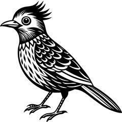illustration of a bird
