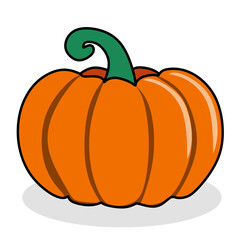 pumpkin plants vector illustration