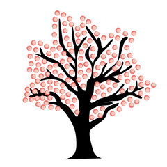 Fototapeta premium pink cherry trees vector illustration