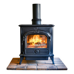Elegant Wood Stove with Flickering Flames