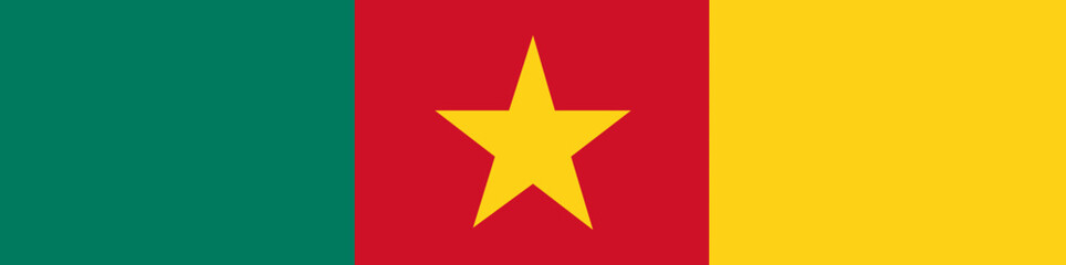 Obraz premium Cameroonian Flag Design
