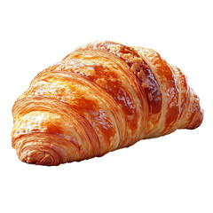 Golden Baked Croissant