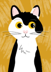 Illustration of a black and white cat with big eyes on an orange background