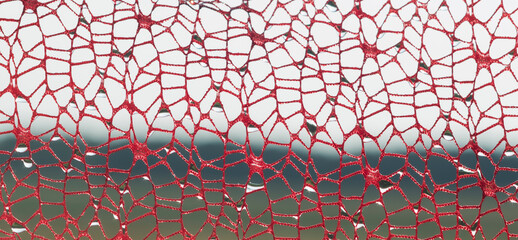A fragment of lace fabric against the background of nature