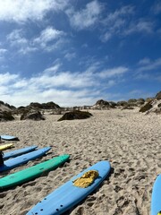 Surf Boards on the sand in Portugal. Atlantic Ocean. Surfing in Peniche.