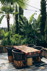 tropical garden with palm trees