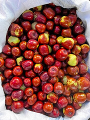 Green and ripe brown jujube fruits on the market stall. Delicious, ripe, organic fruit. Close-up.