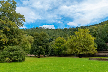 Fototapeta premium lush green field with trees in the background