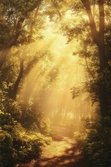 Obraz premium Sunlight Filtering Through Lush Forest Canopy Creating a Serene and Magical Pathway
