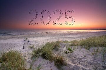 birds flying as 2025 in the sunset sky over the sea, happy new year concept