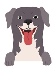 Fototapeta premium Dog hanging on border. Portrait of muzzles with paws. Front view. Flat vector design